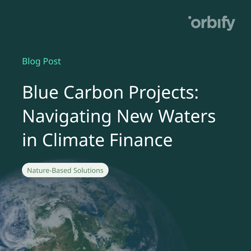 Blue Carbon Projects: Navigating New Waters in Climate Finance